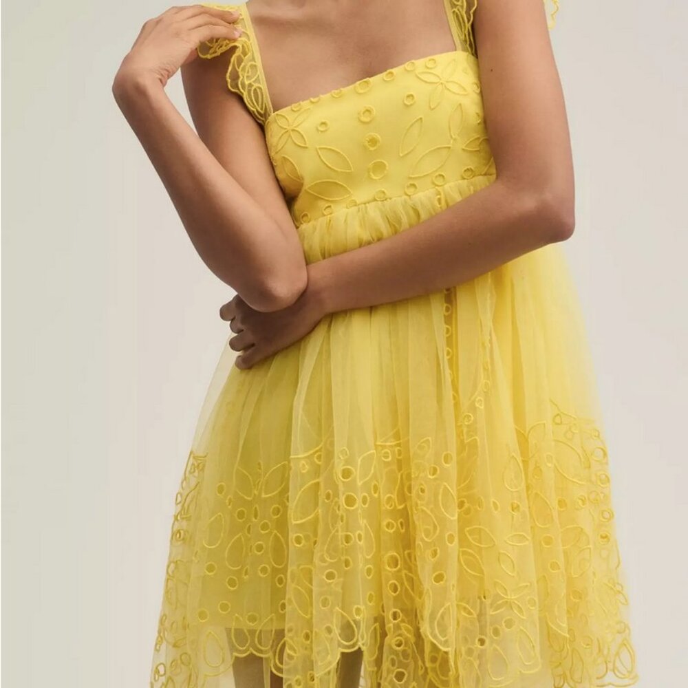 Anthropologie Eyelet Tulle Mini Dress By Let Me Be NWT
